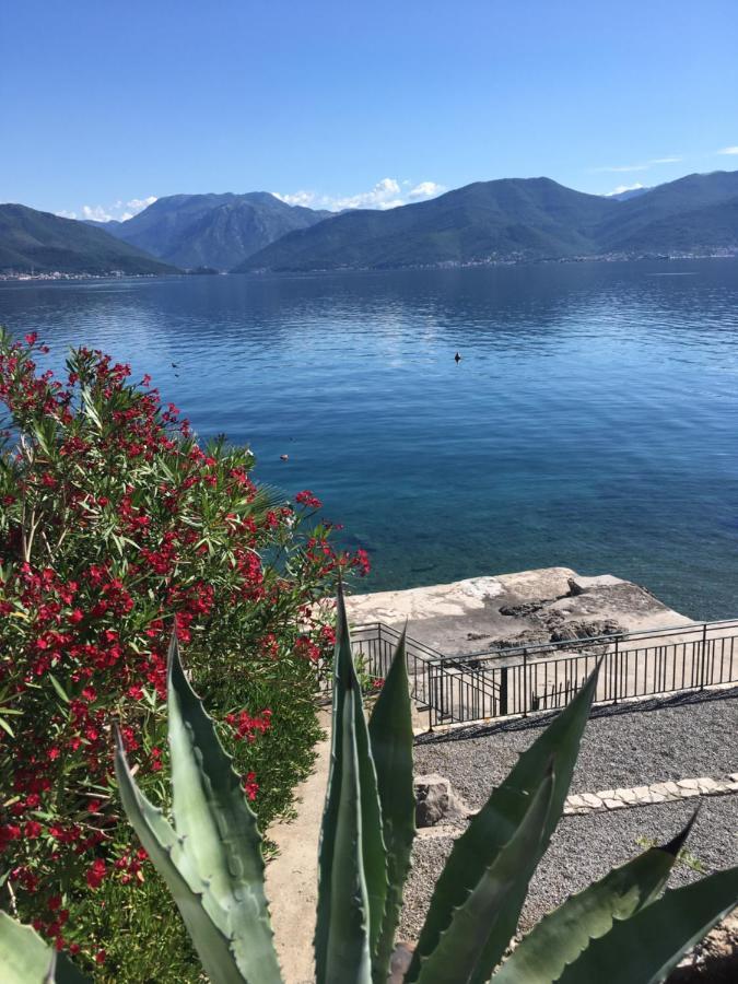 Apartment Tri Kiparisa Tivat Exterior foto